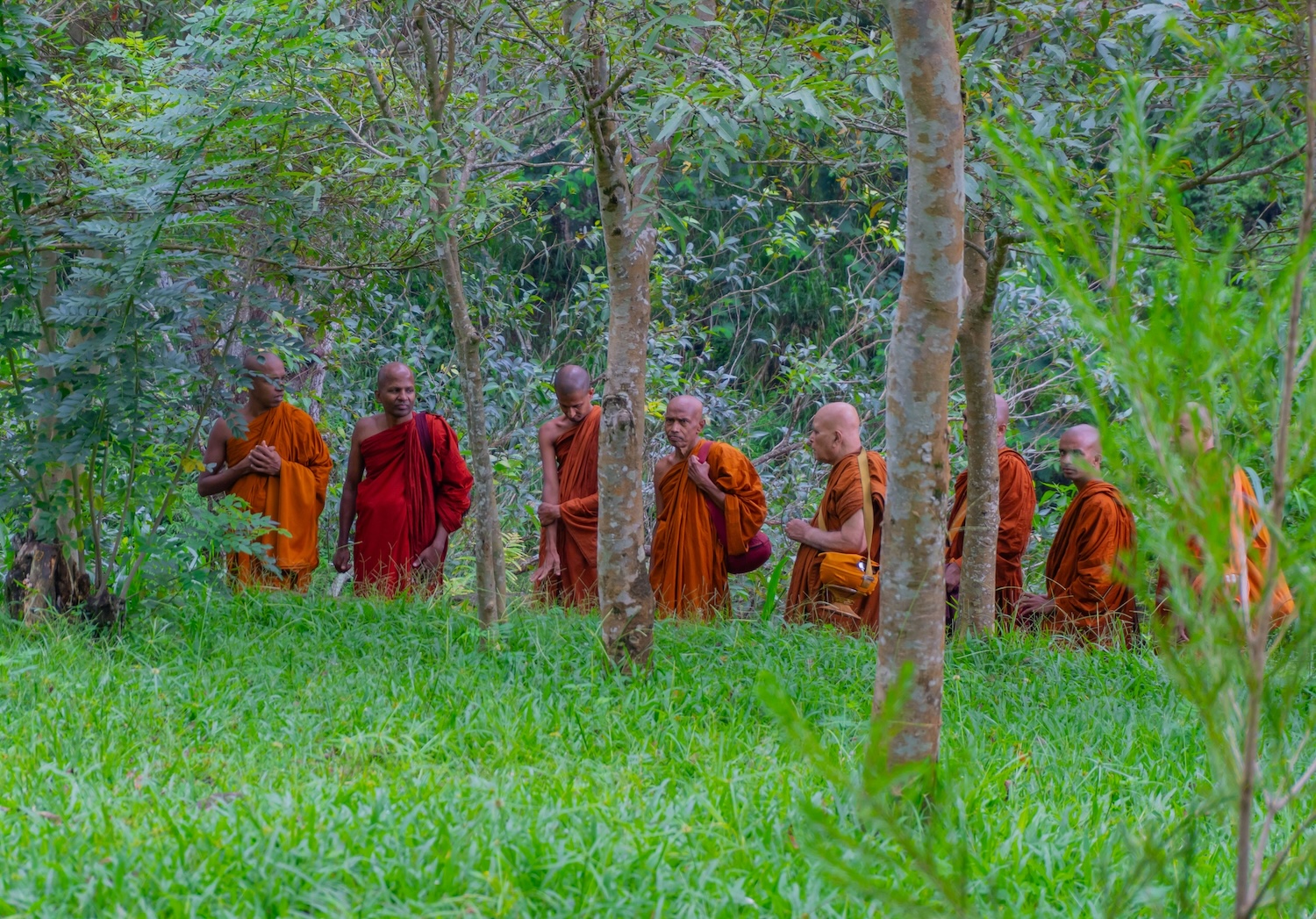 Sri Lankan monks